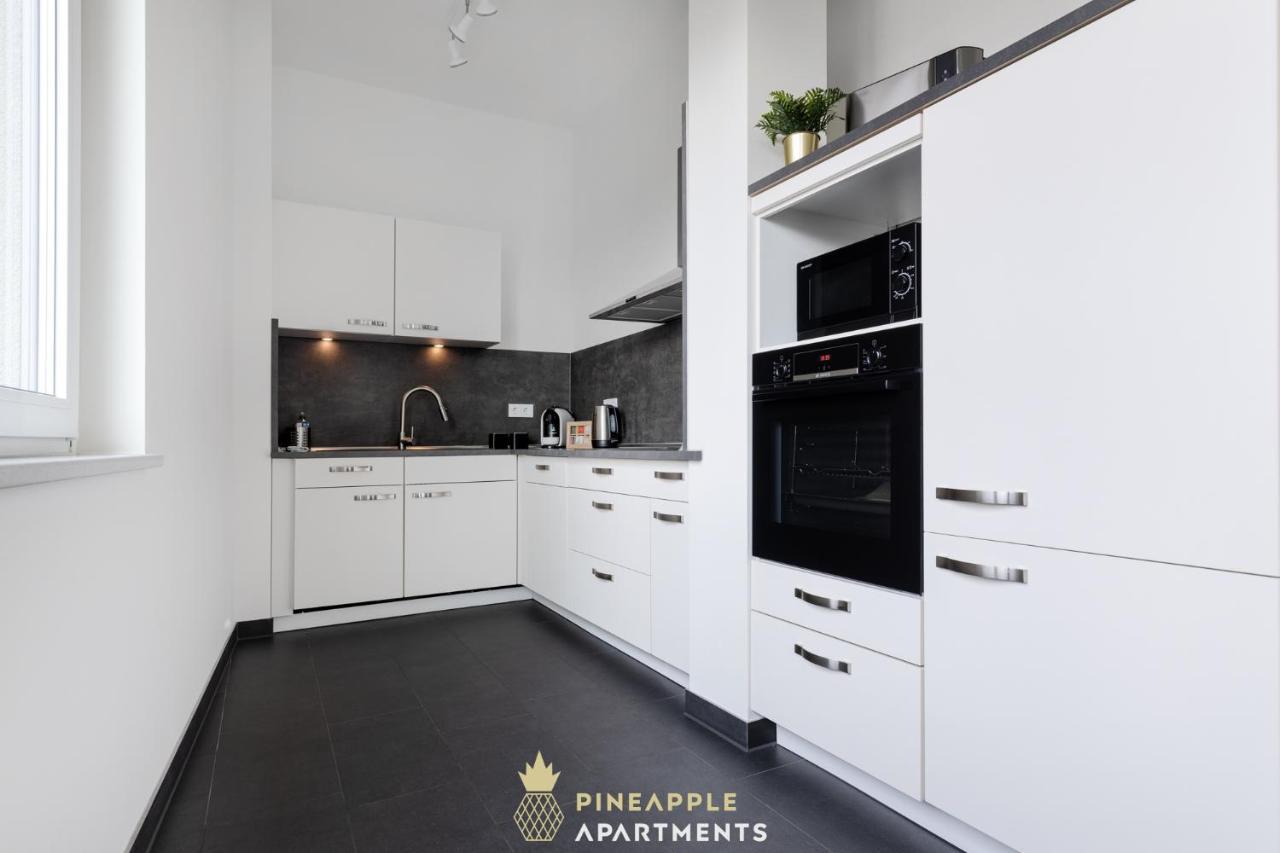 Pineapple Apartments Penthouse Am Zwinger - 162 Qm - 1X Free Parking Drezno Zewnętrze zdjęcie